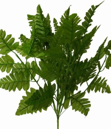 144 Leather Fern Greenery