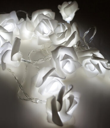 2 X 112 ROSES Fairy Lights for Backdrops - LED White