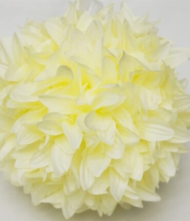 4 x ALWAYS CLOUD 9 Kissing Balls - Dahlia Dahlias