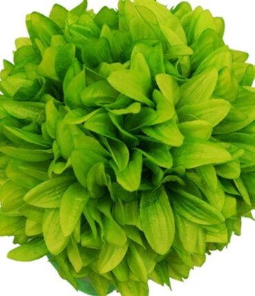 4 x ALWAYS CLOUD 9 Kissing Balls - Lime Dahlias