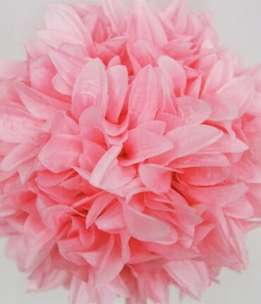 4 x ALWAYS CLOUD 9 Kissing Balls - Pink Dahlias