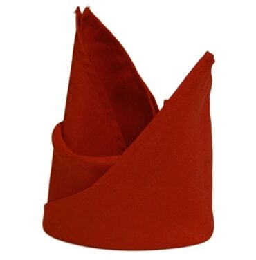 5pk Napkins 17x17 - Burnt Orange