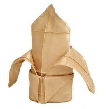 5pk Napkins (Pintuck) - Champagne