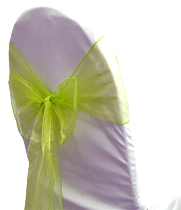 5pc x Chair Sash Organza - Apple Green
