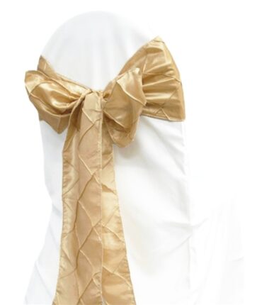 5pc x Chair Sash Pintuck - Champagne