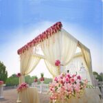 Bkdp.pinkandwhite 150x150